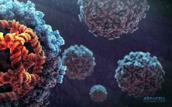 Medical Animation Wallpaper Scientific Video