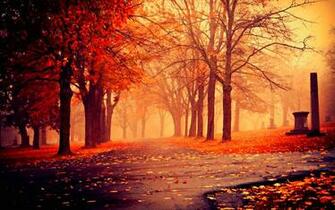 Wallpaper HD Pictures One Background