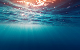 Underwater Sea Wallpaper HD Nature 4k Image