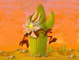 Wile E Coyote Wallpaper