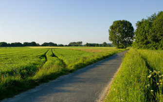 Country Road Wallpaper