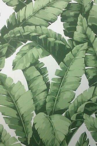 Banana Tree Wallpaper Home Walls