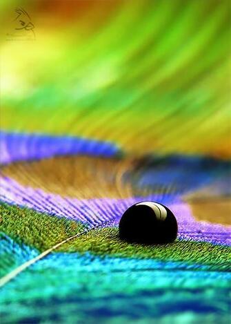 Awesome Drops Live Wallpaper By Mrfarts