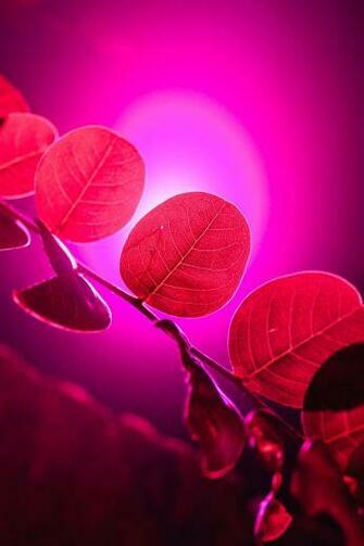 Pj On I Ve Posted A Bunch Of Photos From My Luminous