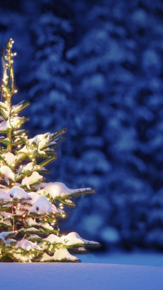 Beautiful Christmas iPhone Wallpaper To