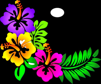 Hawaiian Flower Border Clip Art Hibiscus Png