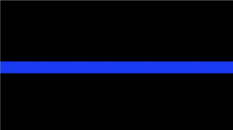 Blue Line File Thin For
