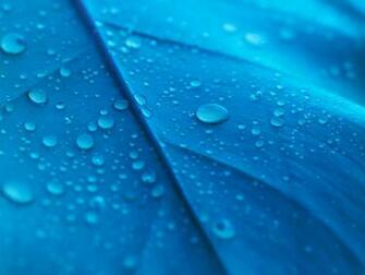 Blue Modern Background Wallpaper HD Background Desktop