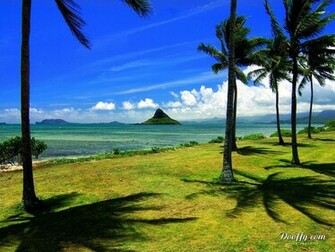 Hawaii Beach