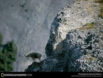 Of The Day Picture Photography Wallpaper National Geographic