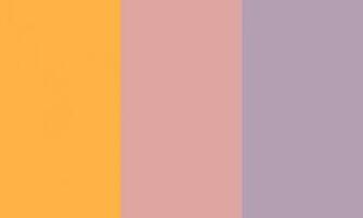 Pastel Orange Pink Purple Three Color