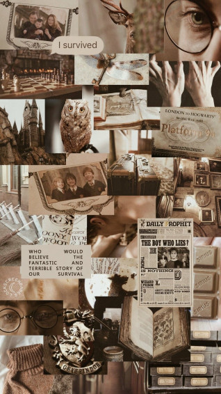 Harry Potter Wallpaper Collage Aesthetic