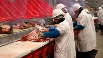 Labor Department Fines Food Sanitation Contractor 5m For Child