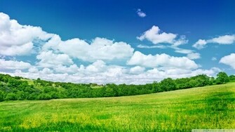 Summer Scenery Wallpaper