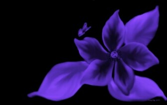 Butterfly In Lavender Black Cg Color Colors Wallpaper
