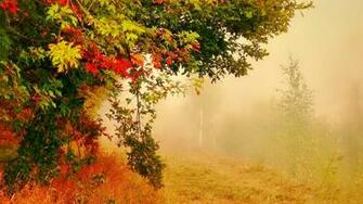 September Wallpaper Widescreen 214p8n2 Wallpaperexpert