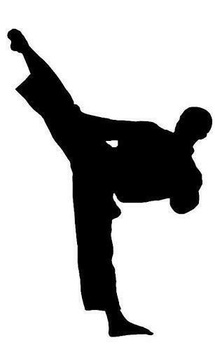 Bigger Martial Arts Sport Wallpaper For Android Screenshot