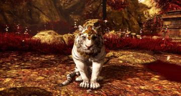 Far Cry Video Game