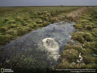 Nature Week Wallpaper National Geographic Photo Contest Res