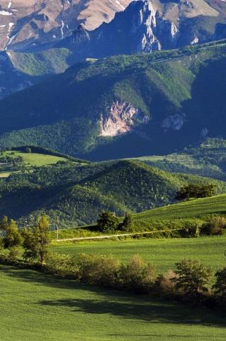 Grassy Over Mountains Wallpaper Getwalls Io