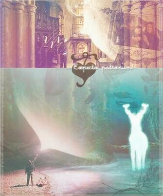 Harry Potter Wallpaper