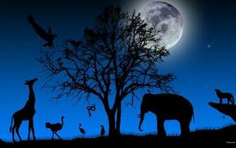 African Night Desktop Wallpaper