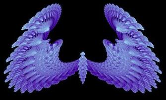 Voc Purple Wings By Gibson125