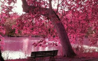 HD Wallpaper Desktop Spring