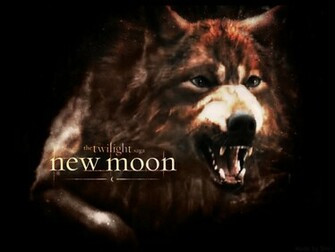 Twilight Jacob Fan Wallpaper By Shincullen Art Movies Tv