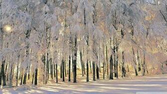 Winter Tales Wallpaper