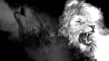 Lion Wolf Updated Their Cover Photo