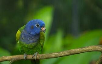Of Windows HD Wallpaper Is A Really Beautiful