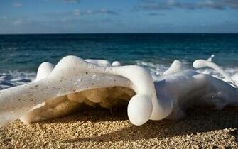 Beach National Geographic Wallpaper Windows Desktop
