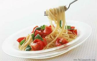 Noodles Cate Wallpaper