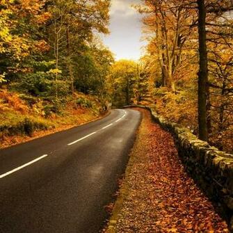 Autumn Highway iPad Wallpaper iPhone