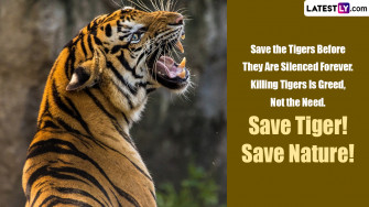 International Tiger Day HD Image For