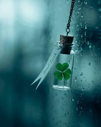 Yulia Plaksina On Inspiration Rain Miniature Photography