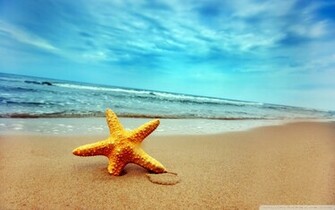 Starfish Background Wallpaper