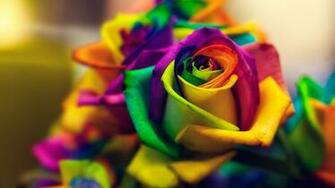 Rainbow Roses Wallpaper