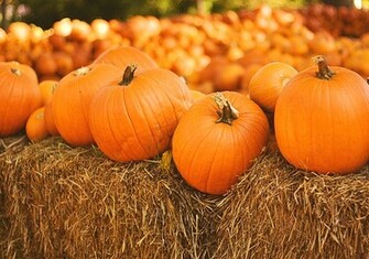 Witch S Brew And Pumpkin Stew