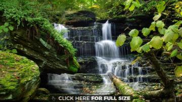 8k Ultra HD Nature Wallpaper B5t6y44 Best