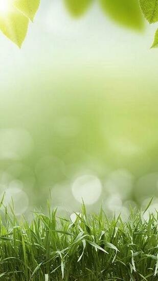 Wallpaper Beautiful Spring Android Background And