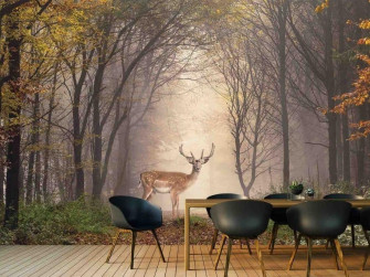 Deer Wallpaper About Murals