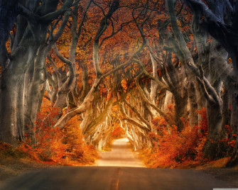 Cute Autumn Wallpaper
