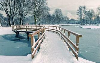 Alberta Winter iPad Gorgeous HD Wallpaper Nature