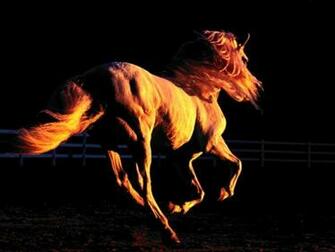 Milenio Razas De Caballos Natura