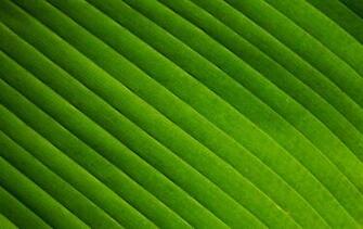 Yahoo Mail Background Hq Wallpaper