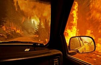 Wildfire Wallpaper Silvery