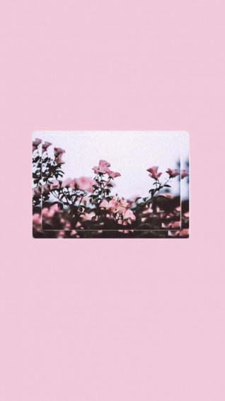 Cool Aesthetic Wallpaper