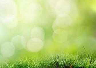 Ing Gallery For Spring Worship Background